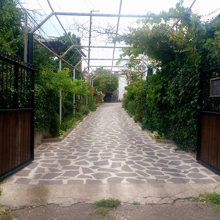 Guesthouse Giorgi Telavi Eksteriør billede