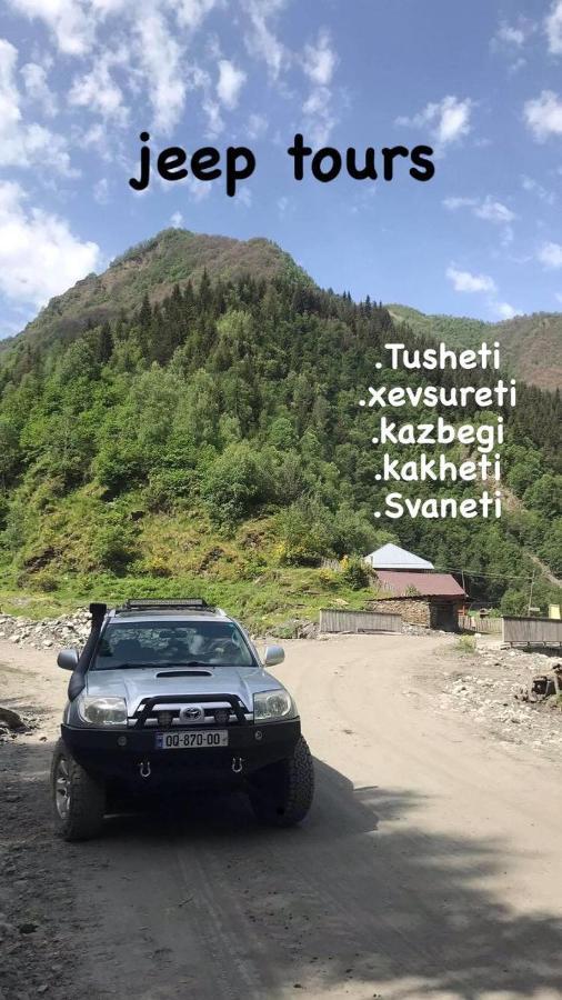 Guesthouse Giorgi Telavi Eksteriør billede