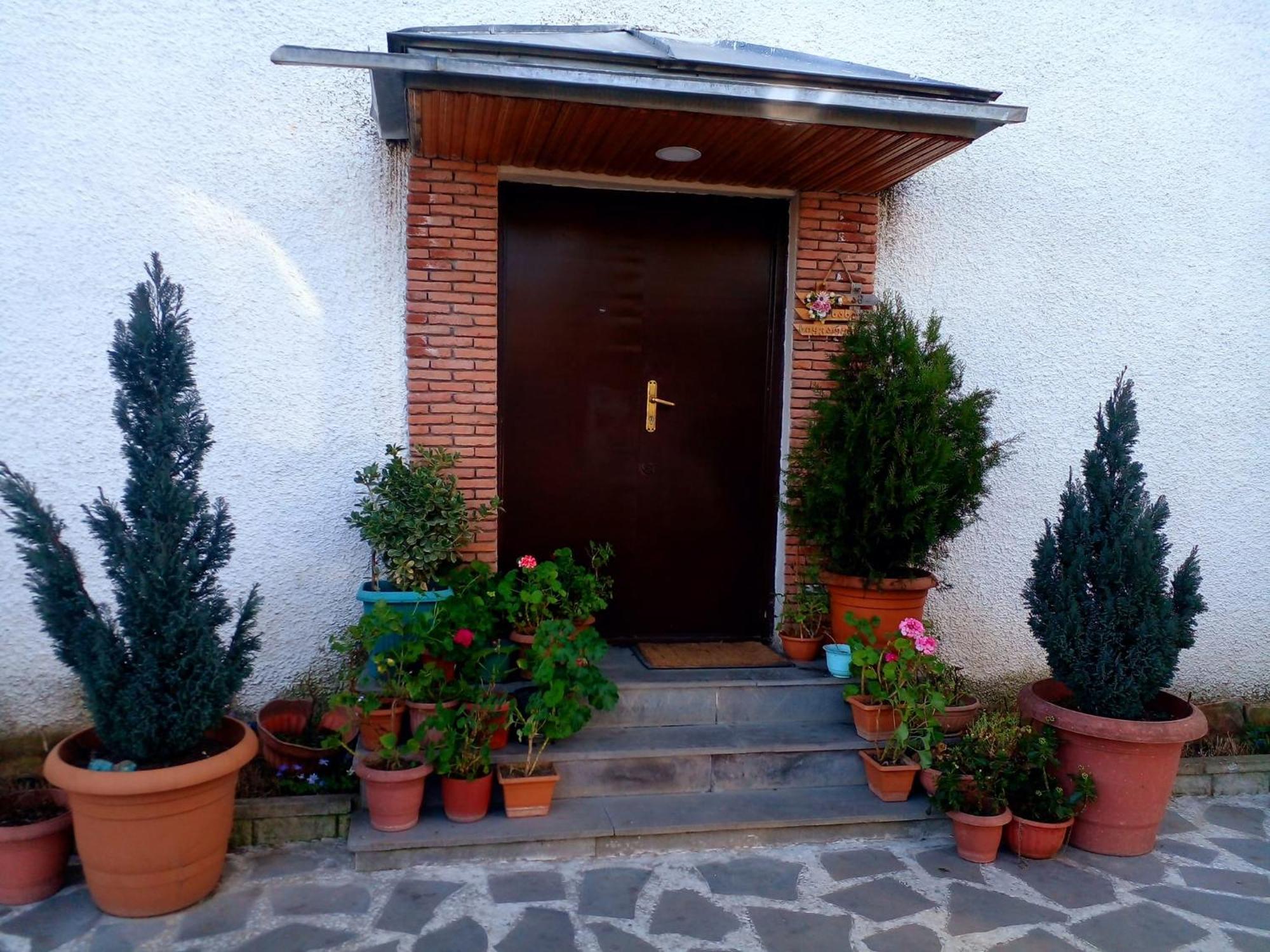 Guesthouse Giorgi Telavi Eksteriør billede